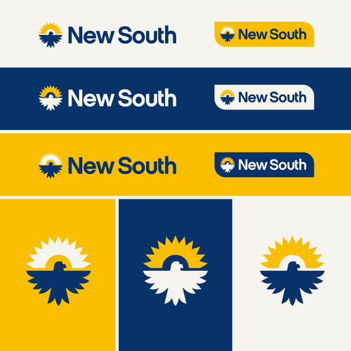 融合創(chuàng)新與自然 美國New South戶外品牌的數(shù)字廣告設計策略